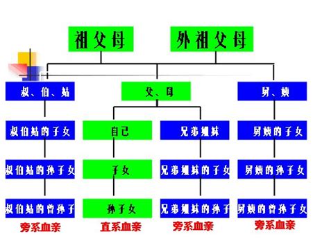 外孫算直系嗎|親系親等